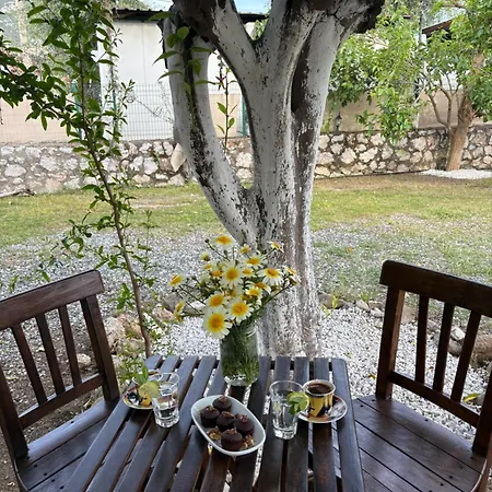 Ebru'ca * Selimiye (Aegean)