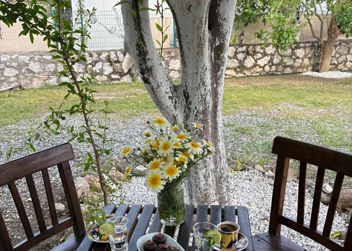 Ebru'ca 3* Selimiye (Aegean)