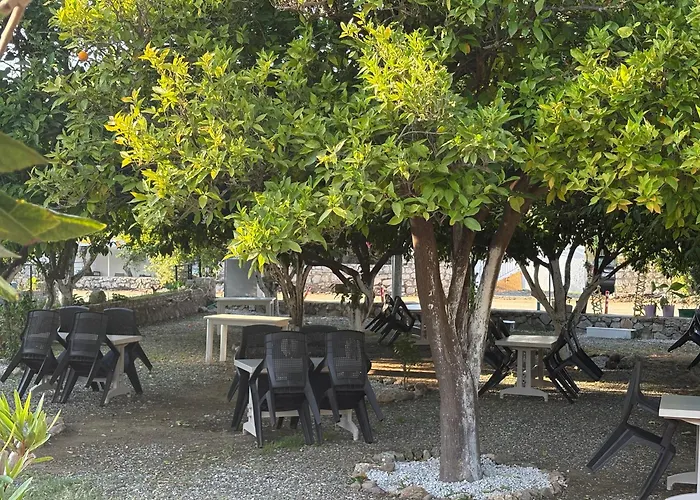 Ebru'ca Bed & Breakfast