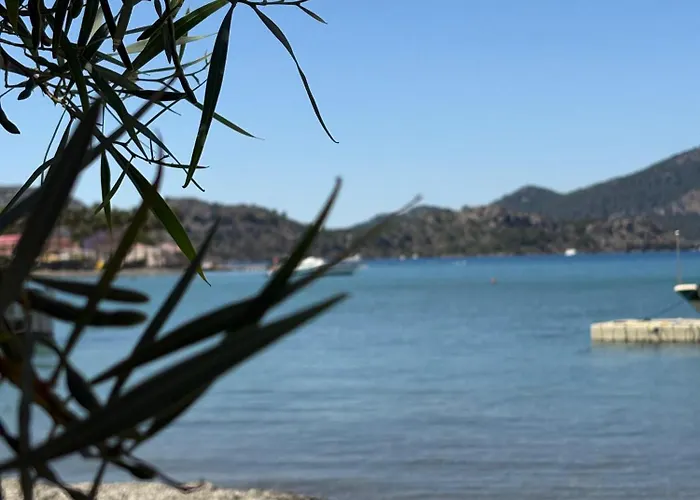 Ebru'ca Selimiye (Aegean)